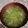 クック49L4Ho☆'s cooksnap of when they made ほっこり簡単☆もやしと卵の生姜スープ.