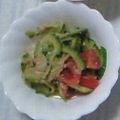 あくあ☆ぶるー's cooksnap of when they made 美味しい！ゴーヤの中華風サラダ.