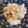 saki1010's cooksnap of when they made 簡単*紅茶ミルクプリン（ゼラチン使用）*.