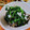 低カロ探検隊's cooksnap of when they made 春菊と舞茸のダシダ和え.