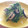 もすろー's cooksnap of when they made 豆苗キノコ豚肉の柚子胡椒蒸し焼き.