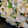 もか75's cooksnap of when they made しっとりササミが美味☆ササミと長ネギ炒め.