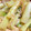 すぎちゃん's cooksnap of when they made 茹でたら勿体ない！信州の絶品わさび菜！！.