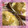 智兎瀬's cooksnap of when they made 切り方次第で。じゃがいも一つで一品計上！.