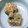 rykotan's cooksnap of when they made 蟹玉の寒天仕立て.