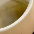 MULA's cooksnap of when they made 切り昆布のおろし生姜スープ.