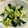 CHISA☆ごはん♪'s cooksnap of when they made 白菜とわかめのホットサラダ.