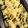 クック甘党。's cooksnap of when they made サバとじゃがいもの味噌グラタン.