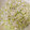 クックY81B22☆'s cooksnap of when they made 万能！ねぎ塩だれ.