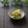 まろんかふぇ's cooksnap of when they made セロリのザーサイ炒め.