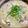 料理男子部🍻's cooksnap of when they made 白菜大量消費！鶏手羽元で参鶏湯風スープ.