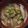 ＲＥＴＳＵＡ．Ｔ's cooksnap of when they made ◆たっぷり牛蒡と豚バラ肉のお味噌汁◆.