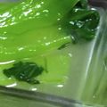 ぴのこ５７'s cooksnap of when they made 簡単φすぐ出来るφ青梗菜のナムルφ.