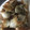 りお５１０'s cooksnap of when they made 青のりなかった(＞∀＜)時の磯辺揚げ.
