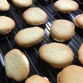 1男怪獣の飯担当's cooksnap of when they made ラングドシャクッキー＆白い恋人♪.
