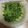 Reo14☆'s cooksnap of when they made 簡単に出来る♡豆苗ナムル風♡.