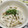 DORA＊DORA's cooksnap of when they made 簡単＆やみつき☆明太マヨのれんこんサラダ.