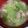 kumasan♪'s cooksnap of when they made 豚バラねぎ塩スープ.
