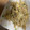 Reo14☆'s cooksnap of when they made 簡単！もやしの鶏がら風味炒め.