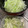 minami1967's cooksnap of when they made キャベツと玉ねぎの酢漬け。(o^^o)♪.