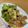 LUPIN３'s cooksnap of when they made ブロッコリーとツナのニンニク蒸し焼き.