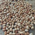 サンタポンチ's cooksnap of when they made 簡単おいしい！煎り大豆の作り方.