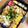 ひろ0922's cooksnap of when they made 簡単♪カワイイ♪3色ちくわ♪.