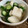 0720まま's cooksnap of when they made 我が家の基本の浅漬け.