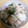 クック9PFY7S☆'s cooksnap of when they made 里芋と鮭の炊き込みご飯.
