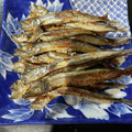 ＭＩ−ＳＡＮ's cooksnap of when they made 失敗しない☆ししゃもの焼き方.