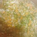 ゆけまる水産's cooksnap of when they made 使い勝手◎離乳食後期〜お野菜ストック.