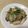 由芽15's cooksnap of when they made 旨い！牡蠣と白葱の炒め煮.