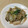 由芽15's cooksnap of when they made 旨い！牡蠣と白葱の炒め煮.