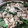 クックFTXLVT☆'s cooksnap of when they made 塩コショウで食べる豚とほうれん草.