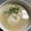 ウルトラマンド's cooksnap of when they made お雑煮 粕汁仕立.