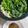 ううたん☆'s cooksnap of when they made ほうれん草 豚肉 豆腐 で 常夜鍋.