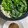ううたん☆'s cooksnap of when they made ほうれん草 豚肉 豆腐 で 常夜鍋.