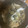 クック1Q5D4A☆'s cooksnap of when they made ヒラメの卵の煮つけ.