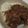 chokopuu's cooksnap of when they made 赤ワインハッシュドビーフ.