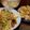 ぐにゅまる's cooksnap of when they made 白菜としらたきの簡単★ごま和え.