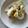 ううたん☆'s cooksnap of when they made 私の大定番！白菜の和風サラダ.