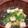 クックG1CG0C☆'s cooksnap of when they made 豆腐とわかめのお吸い物.