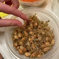 なつみみずく's cooksnap of when they made カミカミビーンズ★神戸学校給食.