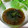 mielle's cooksnap of when they made 感動♡♥海ぶどうともずくの酢の物.