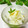mielle's cooksnap of when they made 柚子と大根の即席漬け.