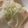 ﾌﾞﾚﾝﾀﾞ's cooksnap of when they made レンジで湯豆腐おひとり様.