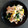 ひさかた's cooksnap of when they made 超簡単★大根とワカメのツナマヨ和え.