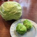 こつゆ514's cooksnap of when they made ミニチュア＊キャベツおにぎり.