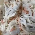 RiAoMe100's cooksnap of when they made レンコンと大根とカニカママヨサラダ.