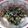satomiａｉ's cooksnap of when they made 【ﾀﾞｲｴｯﾄ】超簡単ﾍﾙｼｰ♪白滝冷麺.